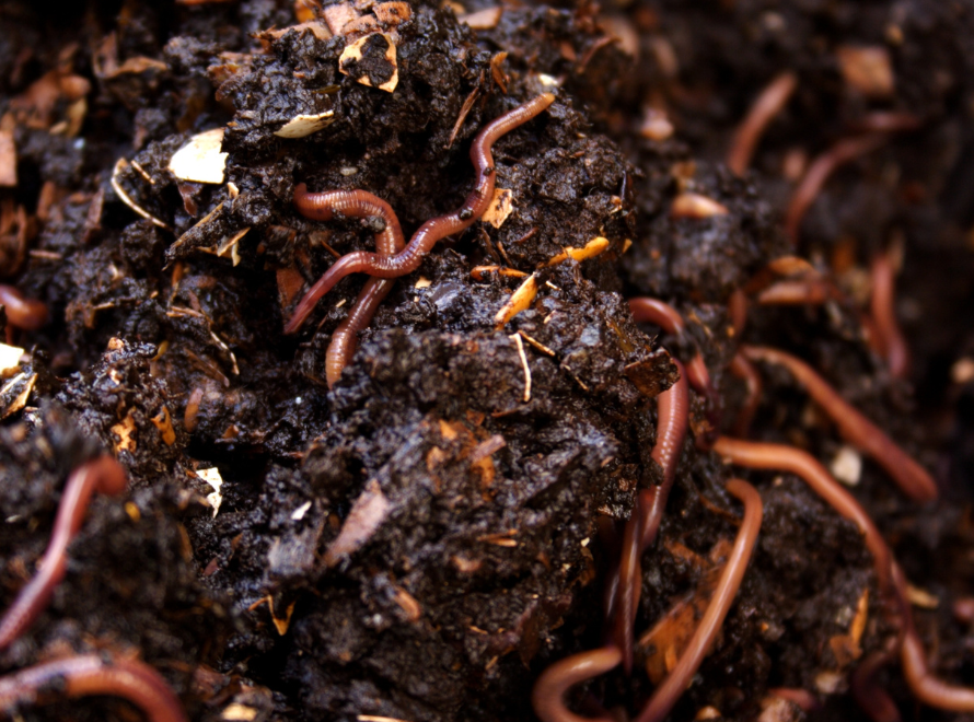 Natural Organic Manure Processing Unit